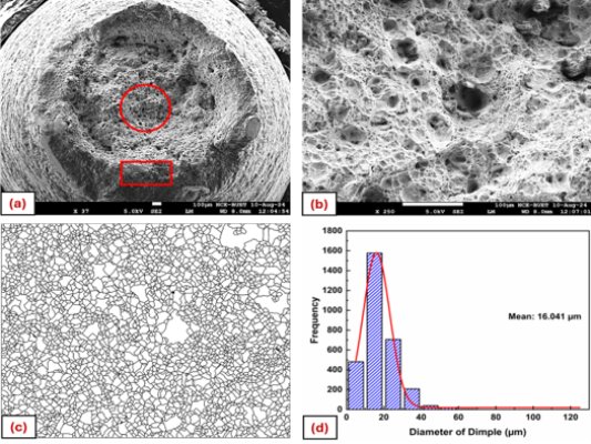 Fracture Surface